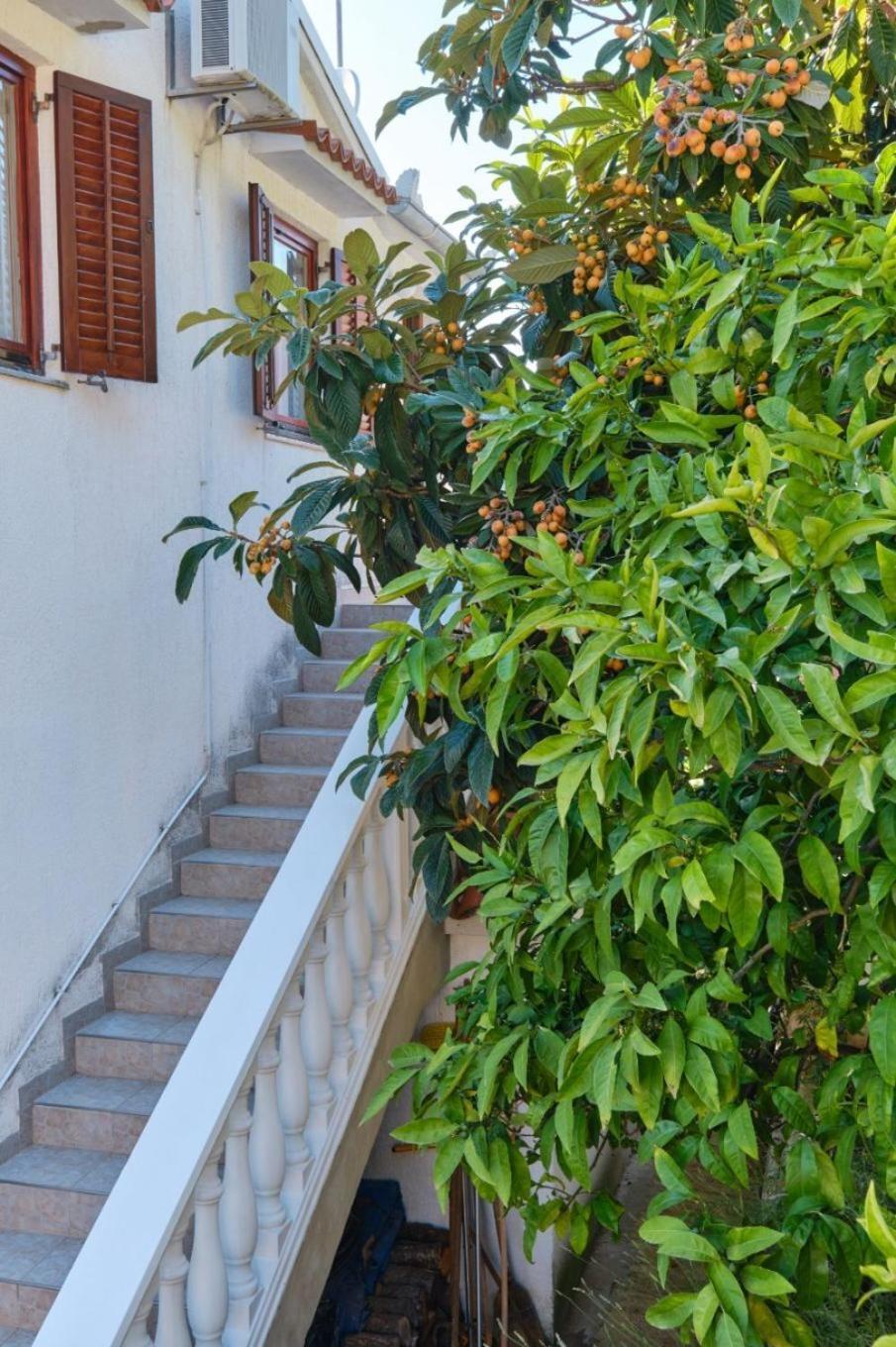 Apartment Luce Mali Lošinj Exteriör bild