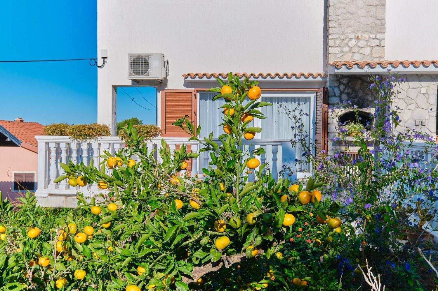 Apartment Luce Mali Lošinj Exteriör bild