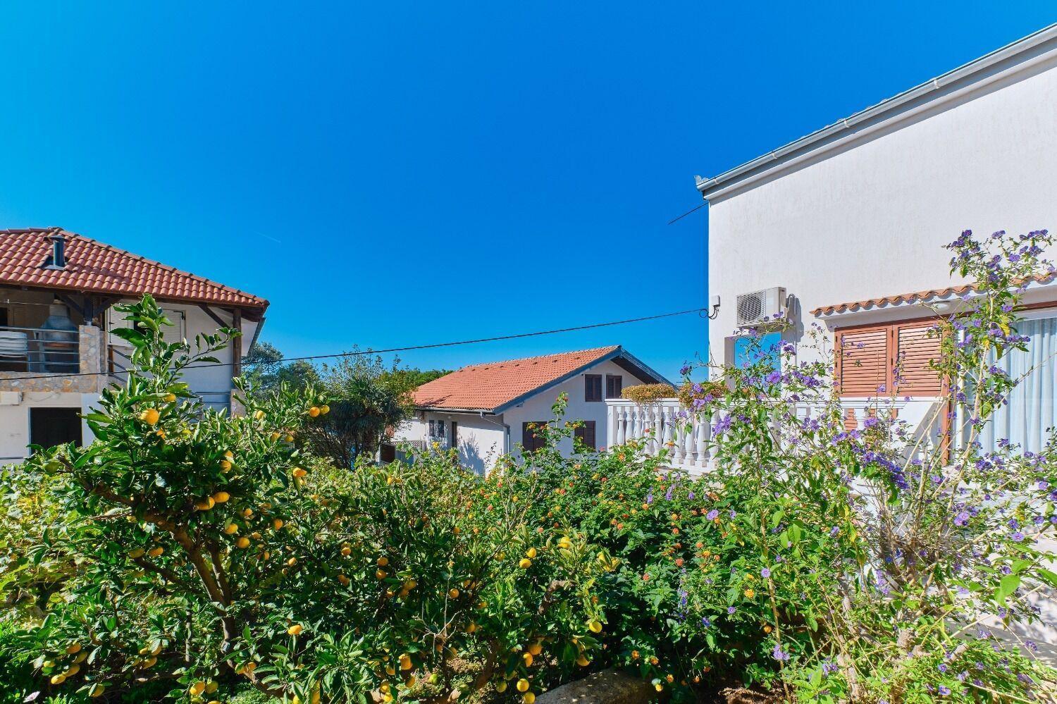 Apartment Luce Mali Lošinj Exteriör bild